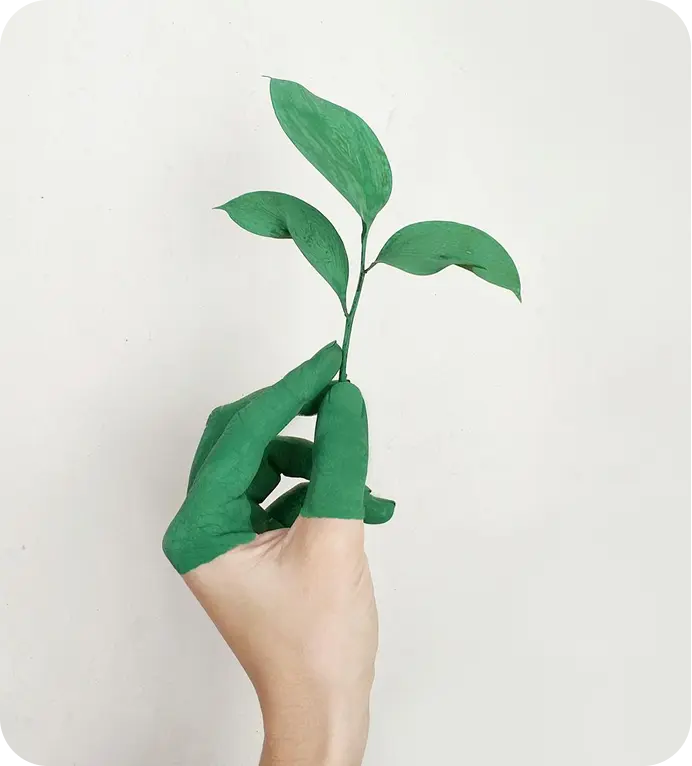 Hand painted green holding a small plant symbolizing eco-friendly cleaning practices