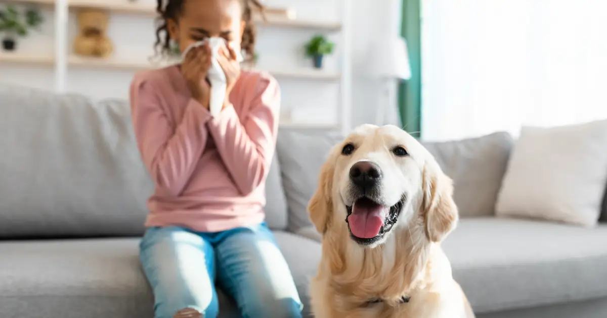 Child sneezing next to a dog on the couch, showing the importance of regular cleaning for allergy sufferers.