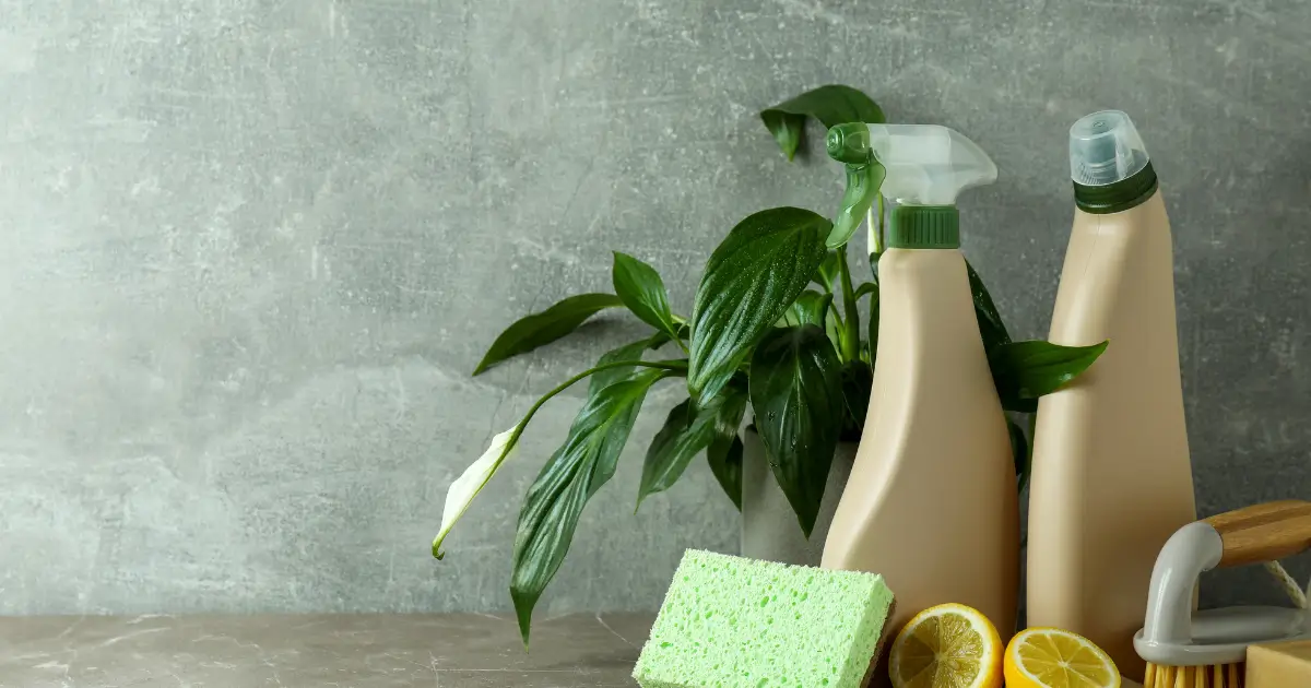 Eco-friendly cleaning products with natural ingredients, spray bottles, lemons, and a plant on a countertop