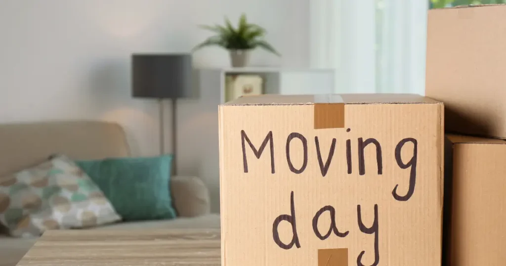 Labeled moving-day cardboard box inside a tidy living room, representing an organized and clean home during the moving process.