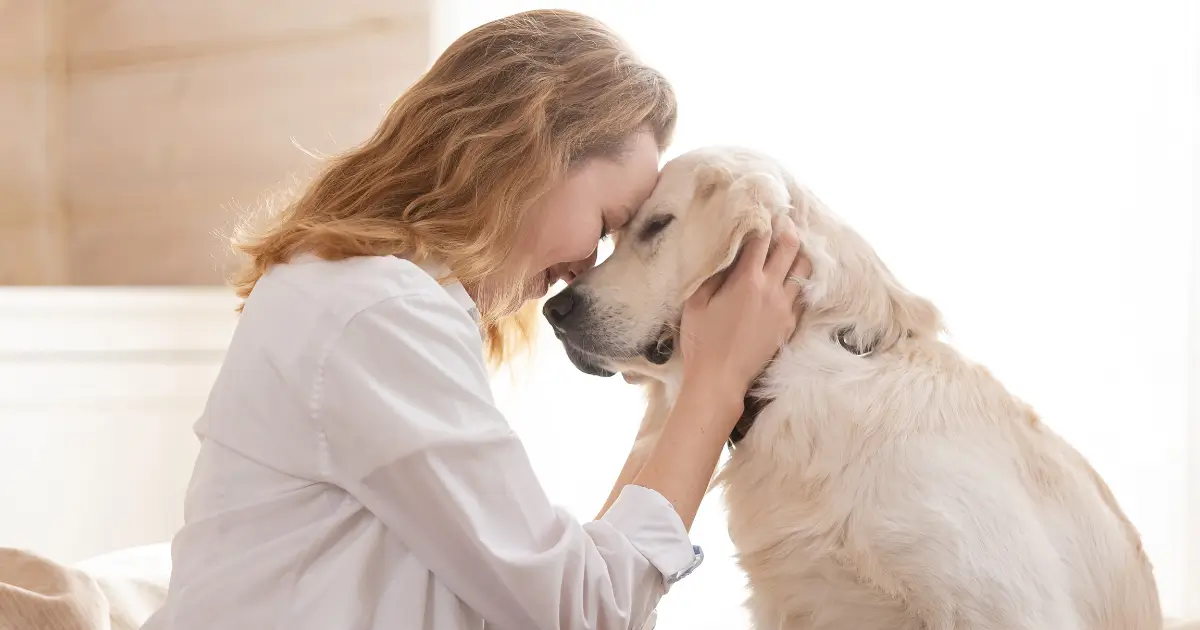 Pet owner gently bonding with a dog at home, representing a clean, pet-friendly living space