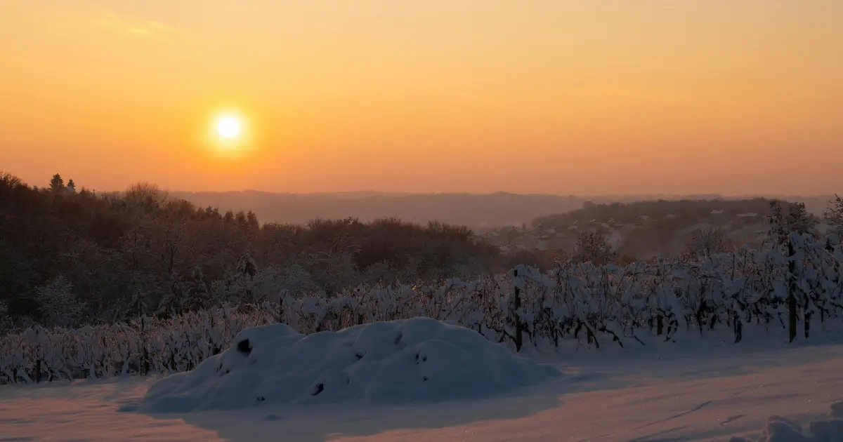 A sunrise over a snowy landscape showing winter weather conditions.
